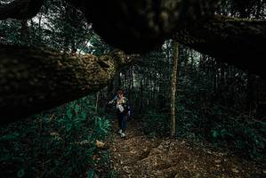 BIB: 
                            <button type="button" onclick="openModal(25700897)" class="btn btn-primary btn-sm float-right btn-popup" data-toggle="modal" data-target=".modal-high-quality">
                        <i class="fas fa-shopping-cart"></i> Add to Cart
                    </button>
                                            <button type="button" onclick="isThisMe(25700897, true)" class="btn btn-success btn-sm float-right btn-popup btn-isme hidden" data-toggle="tooltip" data-placement="bottom" title="นี่คือรูปของคุณใช่ไหม คลิกที่นี่เพื่อเอาเข้าอัลบั้ม">
                        <i class="fas fa-plus"></i> Add to album
                    </button>
                    <button type="button" onclick="isThisMe(25700897, false)" class="btn btn-warning btn-sm float-right btn-popup btn-isnotme hidden">
                        <i class="fas fa-ban"></i> Remove from album
                    </button>